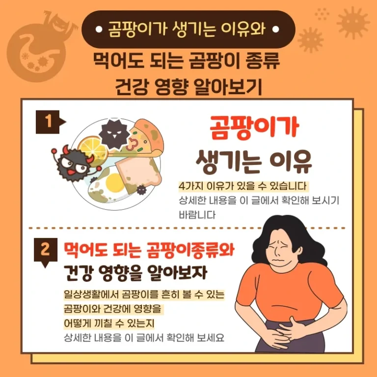 곰팡이가 생기는 이유부터 먹어도 되는 곰팡이까지, 건강 팁 대공개!
