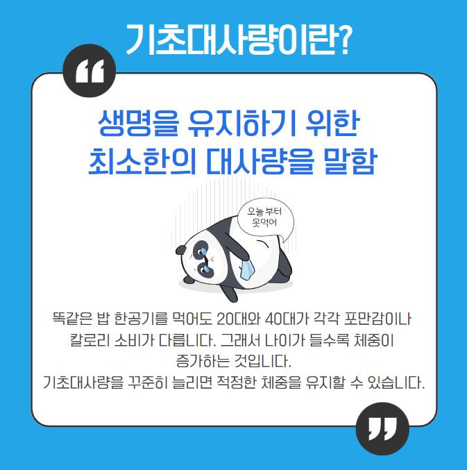 기초대사량 계산기이란..
